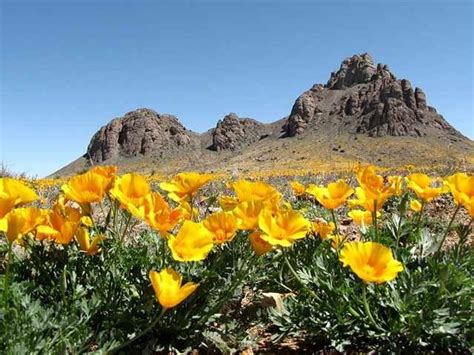 We did not find results for: Florida Mountains Rockhound State Park, NM (With images ...