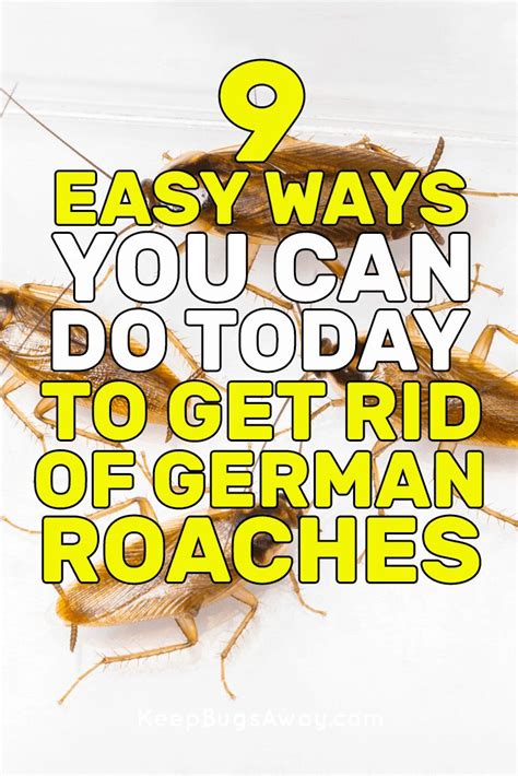 How to get rid of cockroaches. How to Get Rid of German Roaches Without an Exterminator ...