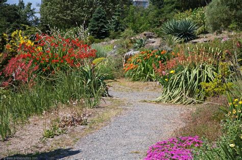 Ubc Botanical Garden Vancouver In 2020