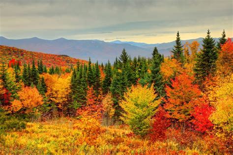 How To See New England Fall Foliage At Its Peak New