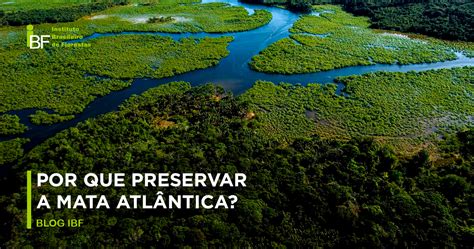 Importância Da Mata Atlântica