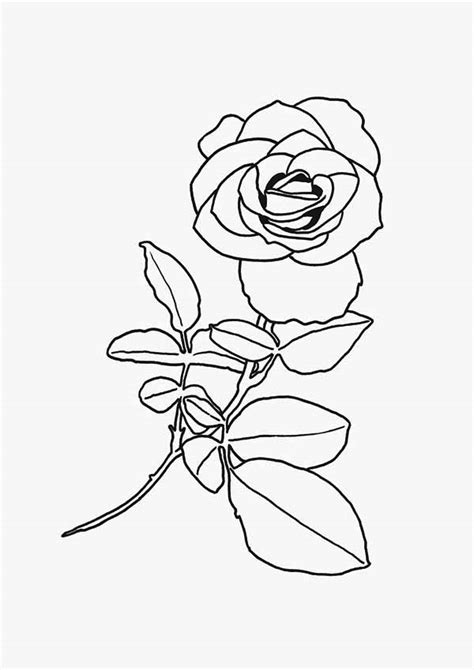beautiful red rose flower coloring page kids play color