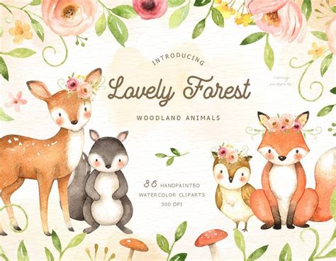 Lovely Forest Watercolor Clip Art Woodland Animals Kids Clipart Boho