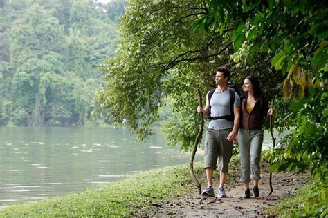 explore the hidden gems free attractions in bukit timah