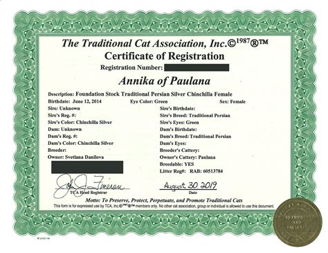 Certificates Persian Chinchilla Kittens