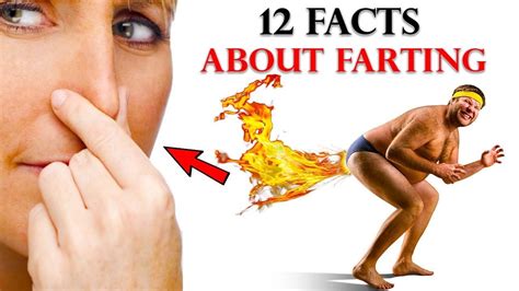 12 Unbelievable Facts About Farting You Probably Didn’t Know What Happens When You Fart Youtube