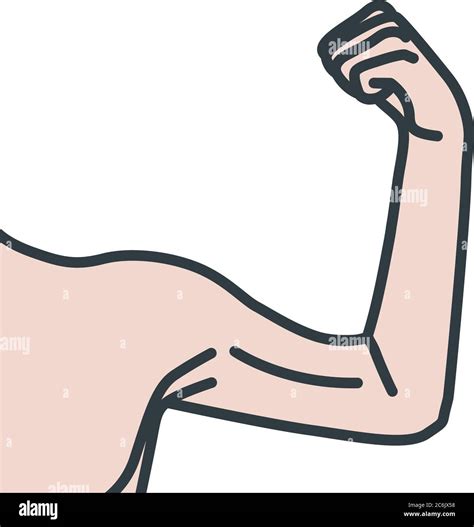 Brazos Masculinos Débiles Con Músculos Flexionados Del Bíceps Imagen