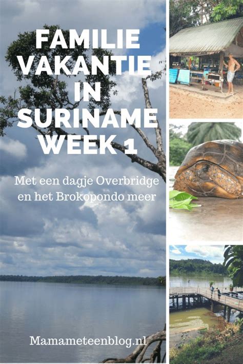 Een Familievakantie In Suriname Wat Doe Je Dan Allemaal Lees Hier Hoe
