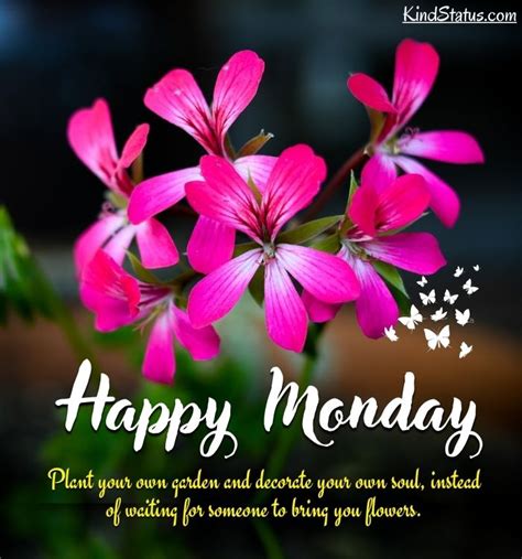 Good Morning Monday Blessings Messages To Start Your Week Right