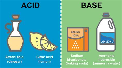 11 Fun Facts About Acids And Bases