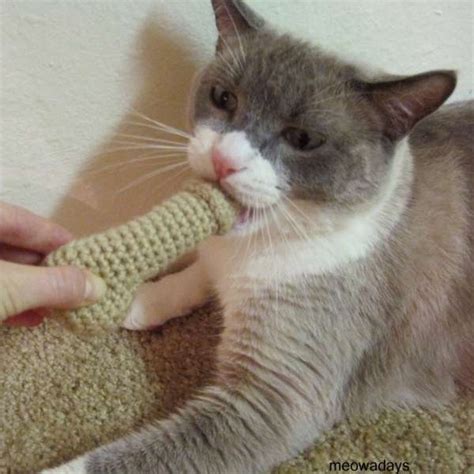 Naughty Feline Knits Knitted Tampon Cat Toys