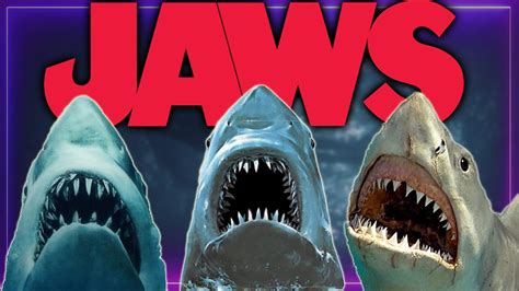 Reviewing All The Jaws Movies Youtube