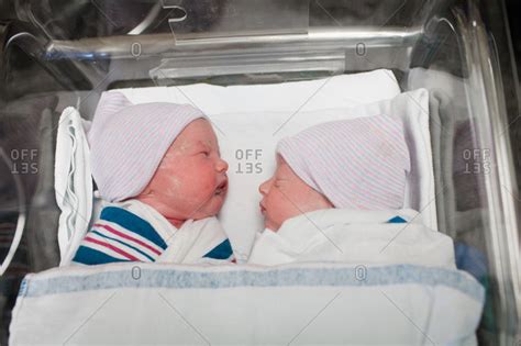 Newborn Twins In Hospital