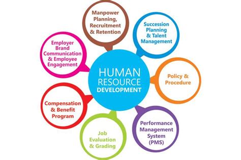 What Is Human Resource Development Hrd ~ Edugyan
