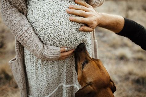 A Pregnant Woman Is Holding Her Belly While Petting A Dog