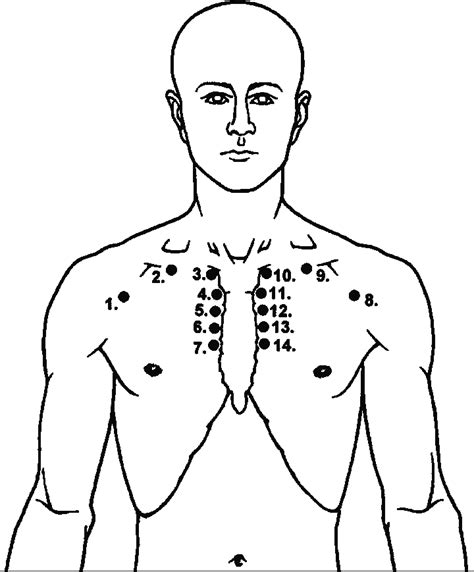 Diagram Of Chest Area Pectoralis Major The Trigger Point And Referred