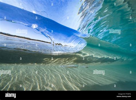 Underwater View Of A Wave Breaking In Ocean Queensland Australia