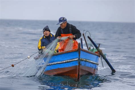 El Sector Más Beneficiado Con El Acuerdo De Escazú Sería La Pesca