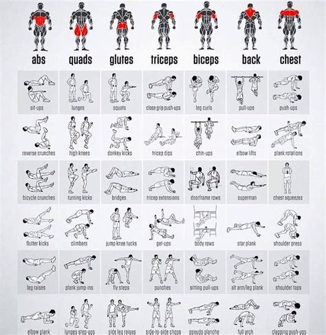 Types Of Workout For Different Parts Of The Body Body Workout Plan