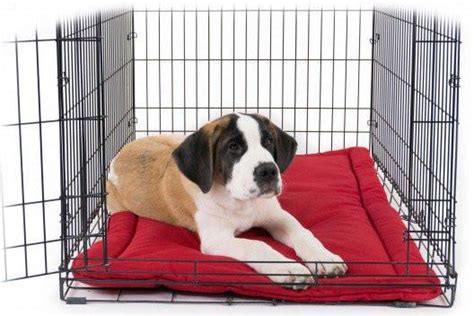 Many are made from easy to clean materials, which make them convenient for crate what is the best bed for a dog crate? TUFF Crate Pad - Best of Dog