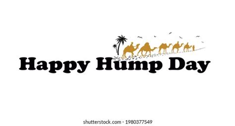 Happy Hump Day Photos And Images Shutterstock