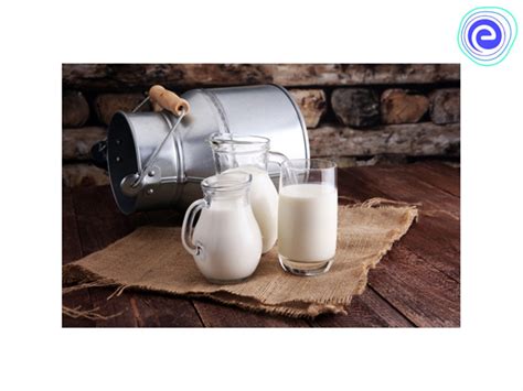 Food from Animals: Chart, Animal Food Product List, Sources