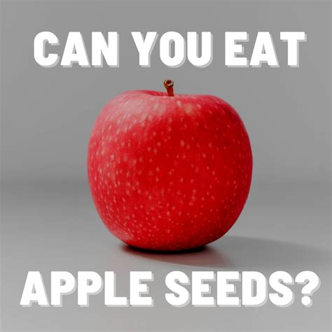 Apple Seeds Have Poisonous Cyanide Hubpages
