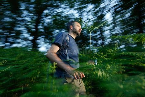 Lost In The Woods Stock Image Image Of Lost Coast Scared 7831179