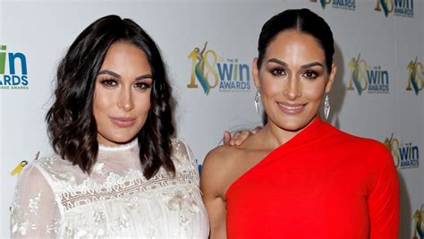 Wwe Sisters Nikki And Brie Bella Are Both Pregnant Ctv News