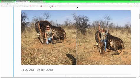 Hunter Poses With Dead Rare Black Giraffe Sparks Outrage Youtube