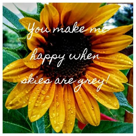 Check spelling or type a new query. ~ "You make me happy when skies are grey" picture quote ...