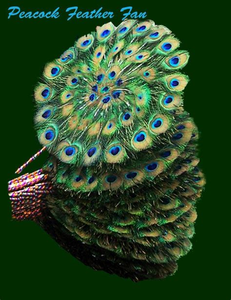 In The Far East And India Peacock Fans Are Used For Deity