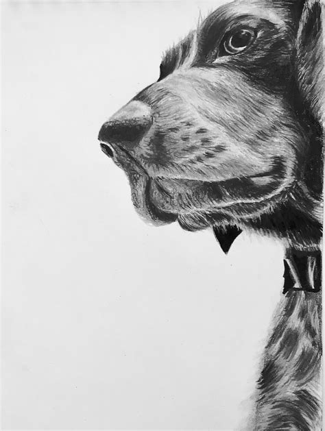 Retrato De Mascota Perro Grafito Lápiz Rotulador Dibujos Comprar