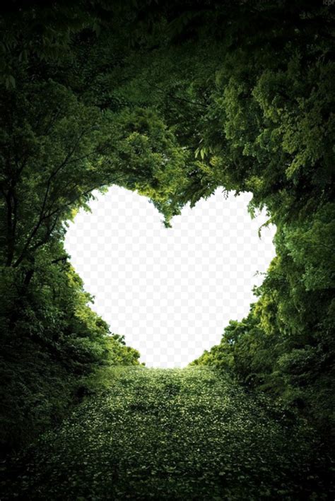 Download Heart Shape On Nature Trees Png Citypng