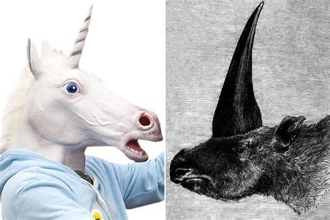 Yes Unicorns Were Real They Just Didnt Look Like Horses