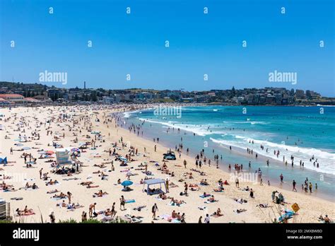 Bondi Beach Sydney Australia Crowded Bondi Beach In Summer 2023