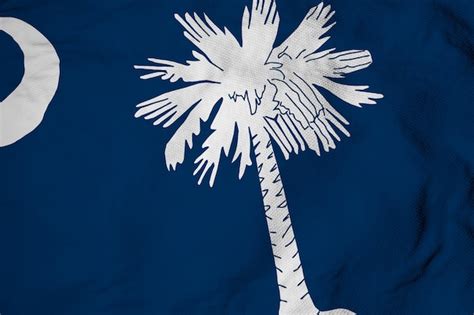 30 South Carolina Flag Pictures
