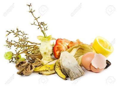 Pengertian dan Perbedaan Sampah Organik dan Anorganik Lengkap Dengan