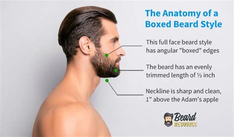 Short Boxed Beard Grow Trim And Examples Full Guide