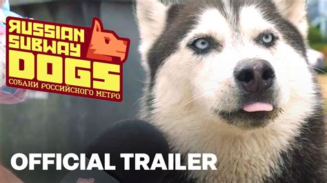 Russian Subway Dogs Launch Trailer Youtube