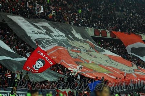 Profitul din vanzarea produselor intra in program ddb. Dinamo Bucuresti - Steaua Bucuresti 17.04.2014
