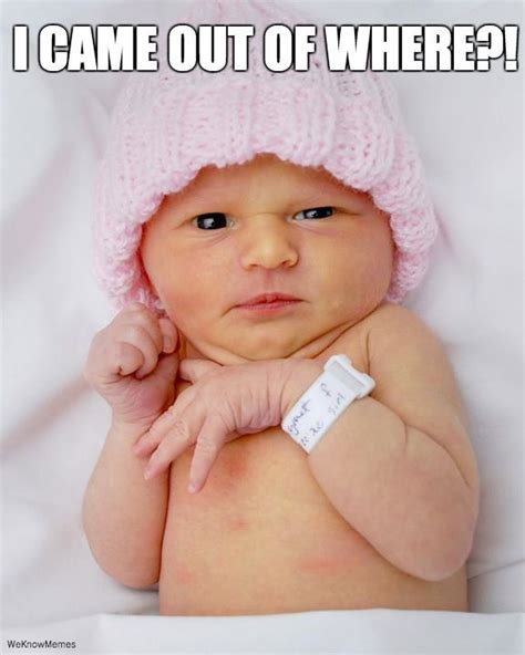 Disgusted Baby Funny Babies Baby Memes Laugh