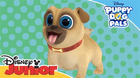 Introducing Rolly Puppy Dog Pals 🐶 Disney Junior Arabia Youtube