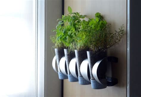 I Love Fresh Herbs And This Is Such A Simple Way To Grow Them In Little