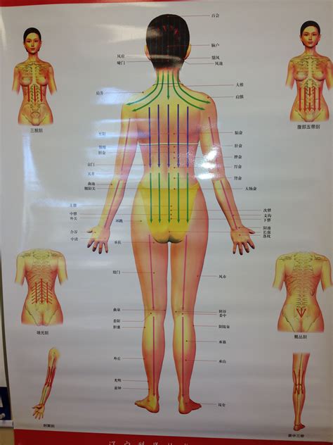 Guasha Massage Chart Posterior Female Gua Sha Massage Massage
