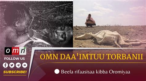 Omn Daaimtuu Torbanii Beela Rifaasisaa Kibba Oromiyaa Adoolessa 30