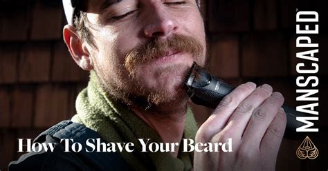how to shave your beard completely off step by step manscaped™ blog
