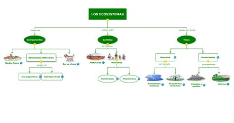 Aprender Es Divertido Los Ecosistemas Mapa Conceptual