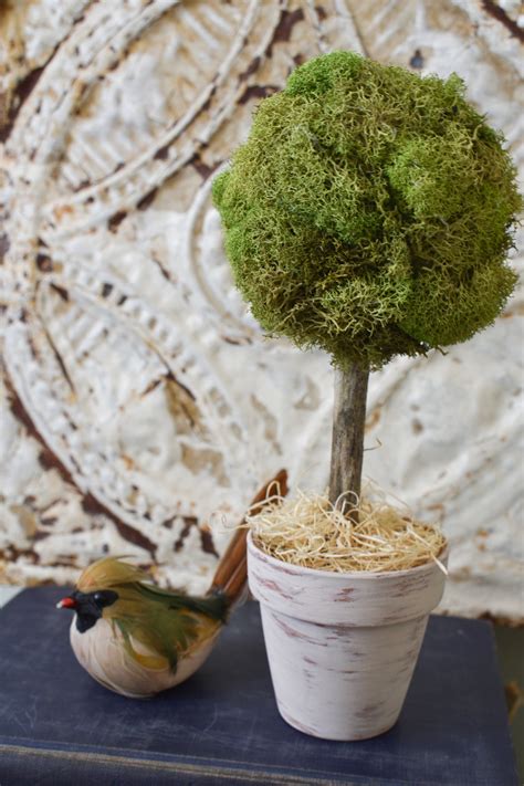 Check spelling or type a new query. DIY Moss Topiary Trees for Less Than a Dollar - Zucchini ...