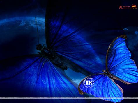 Free Blue Color Wallpapers Blue Color Abstract Wallpapers Blue Color